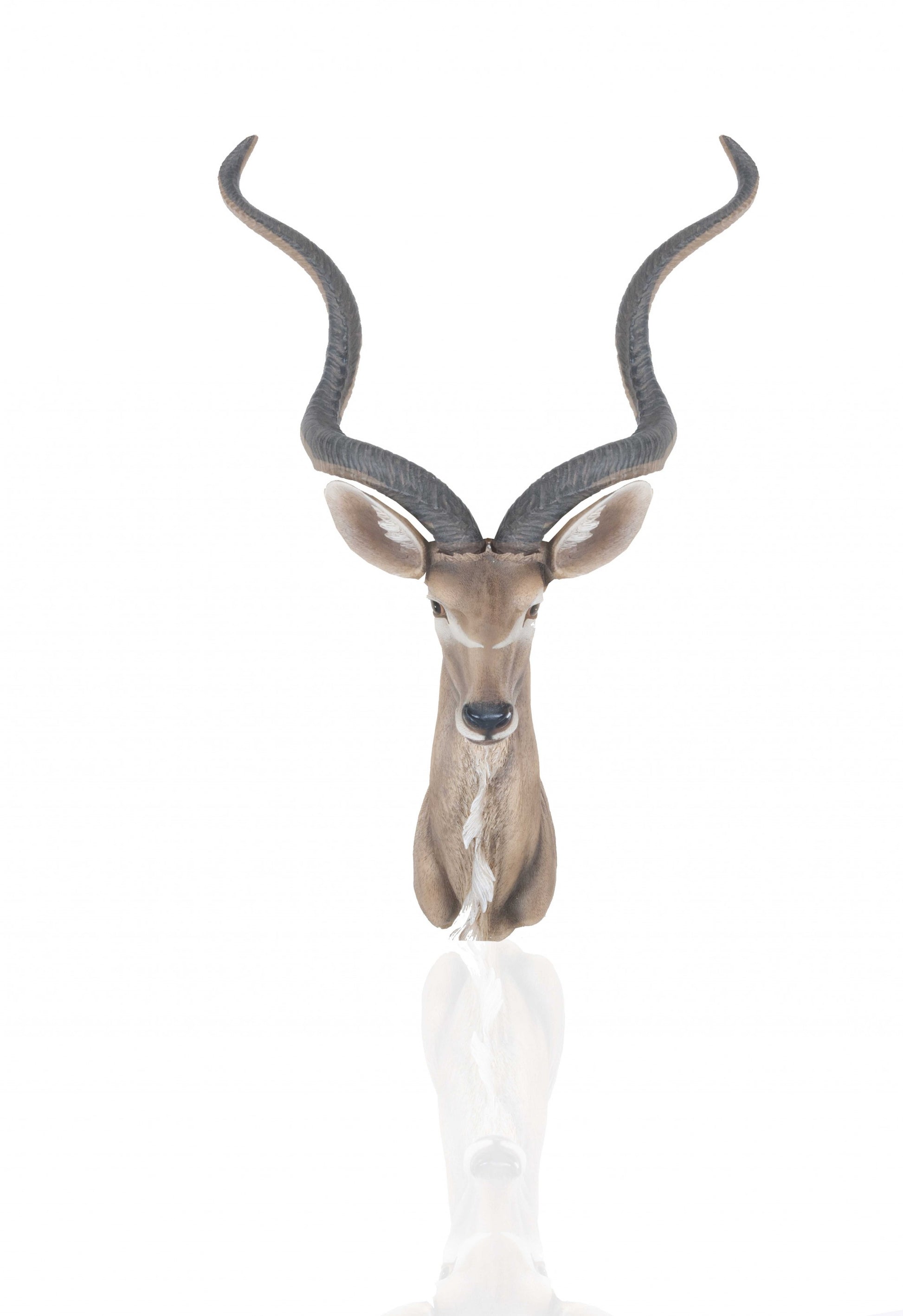 Antelope Head Wall Decorative By Homeroots | Animals & Pets | Modishstore - 2