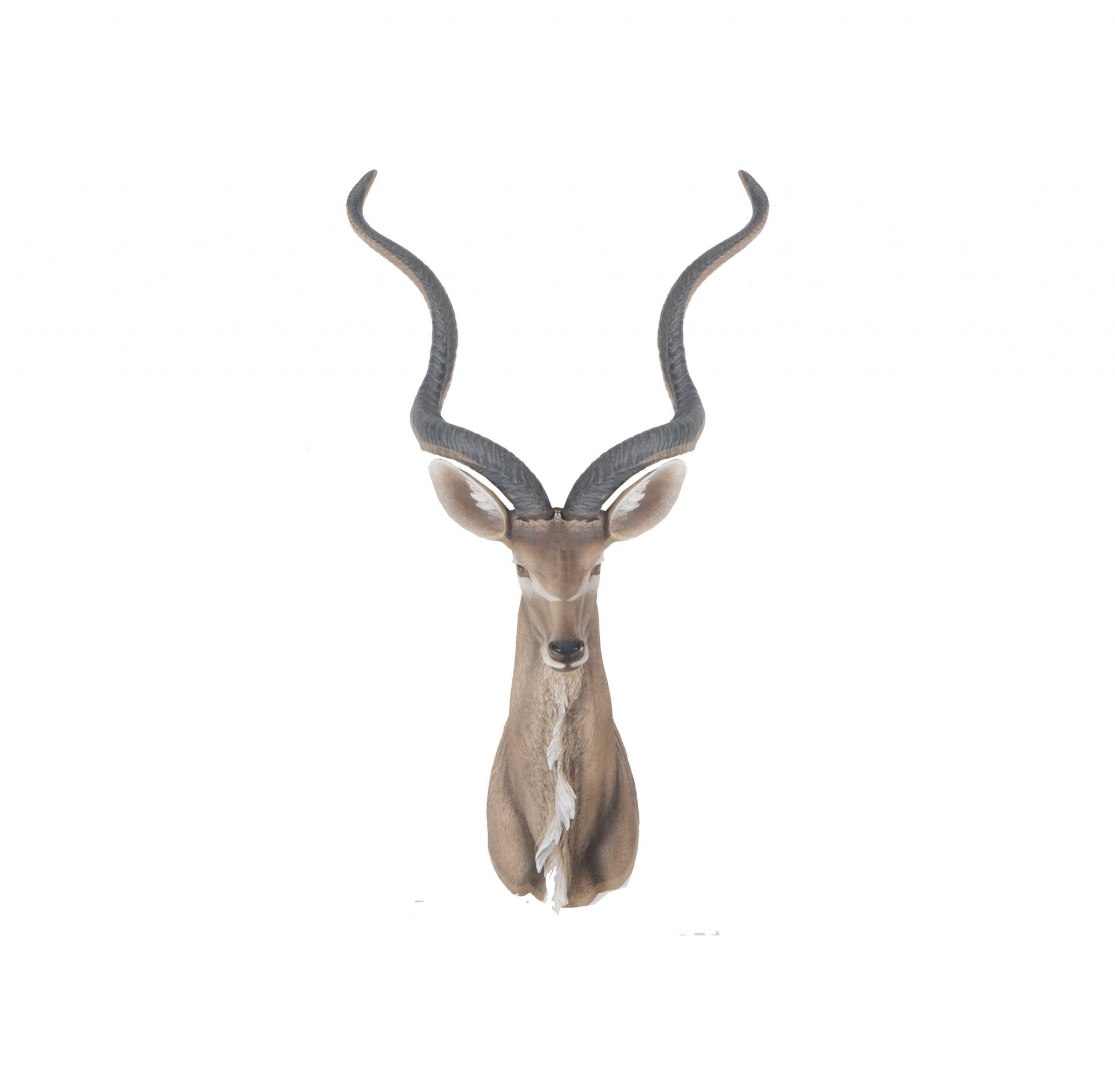 Antelope Head Wall Decorative By Homeroots | Animals & Pets | Modishstore - 3