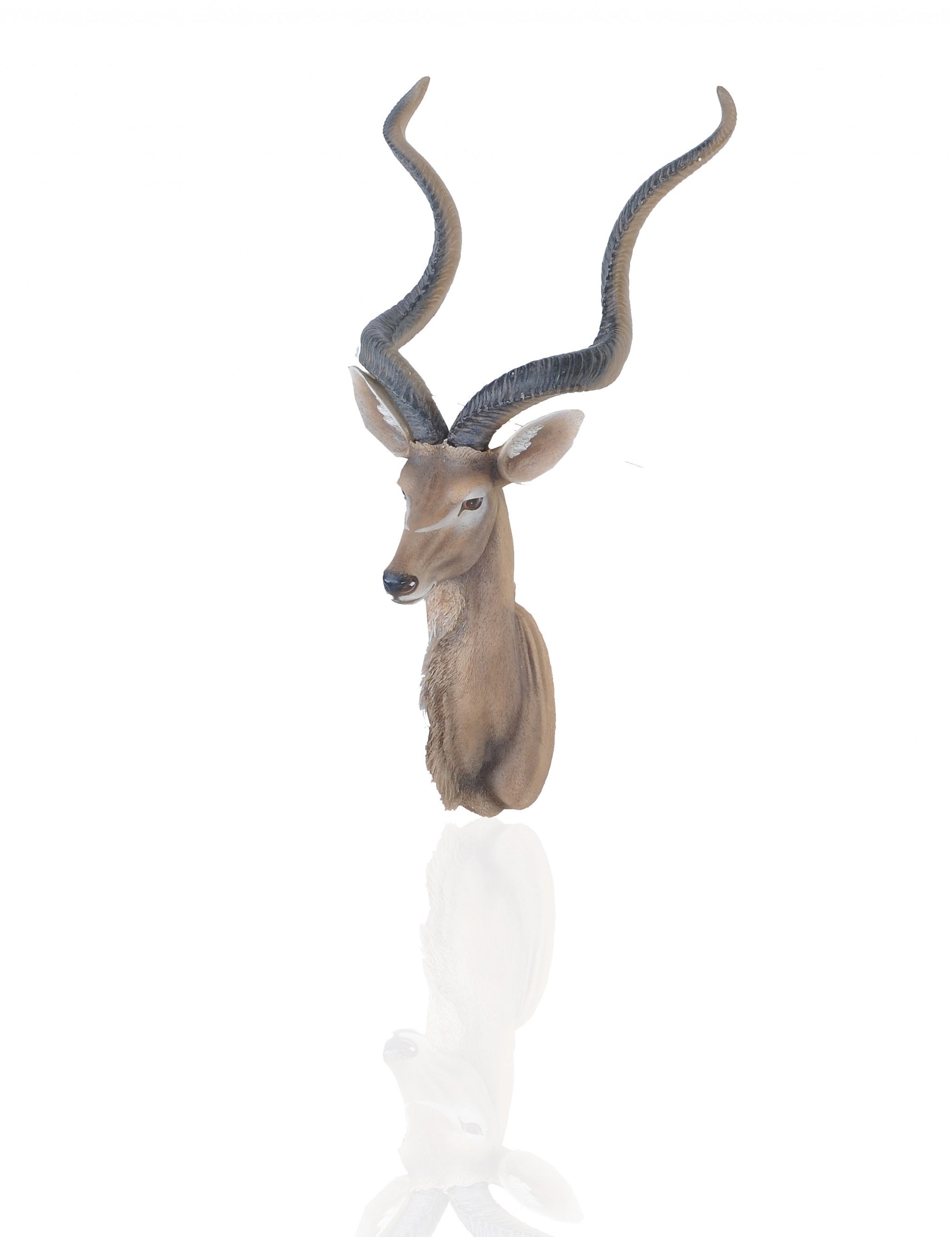 Antelope Head Wall Decorative By Homeroots | Animals & Pets | Modishstore - 4