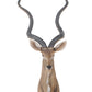 Antelope Head Wall Decorative By Homeroots | Animals & Pets | Modishstore - 5