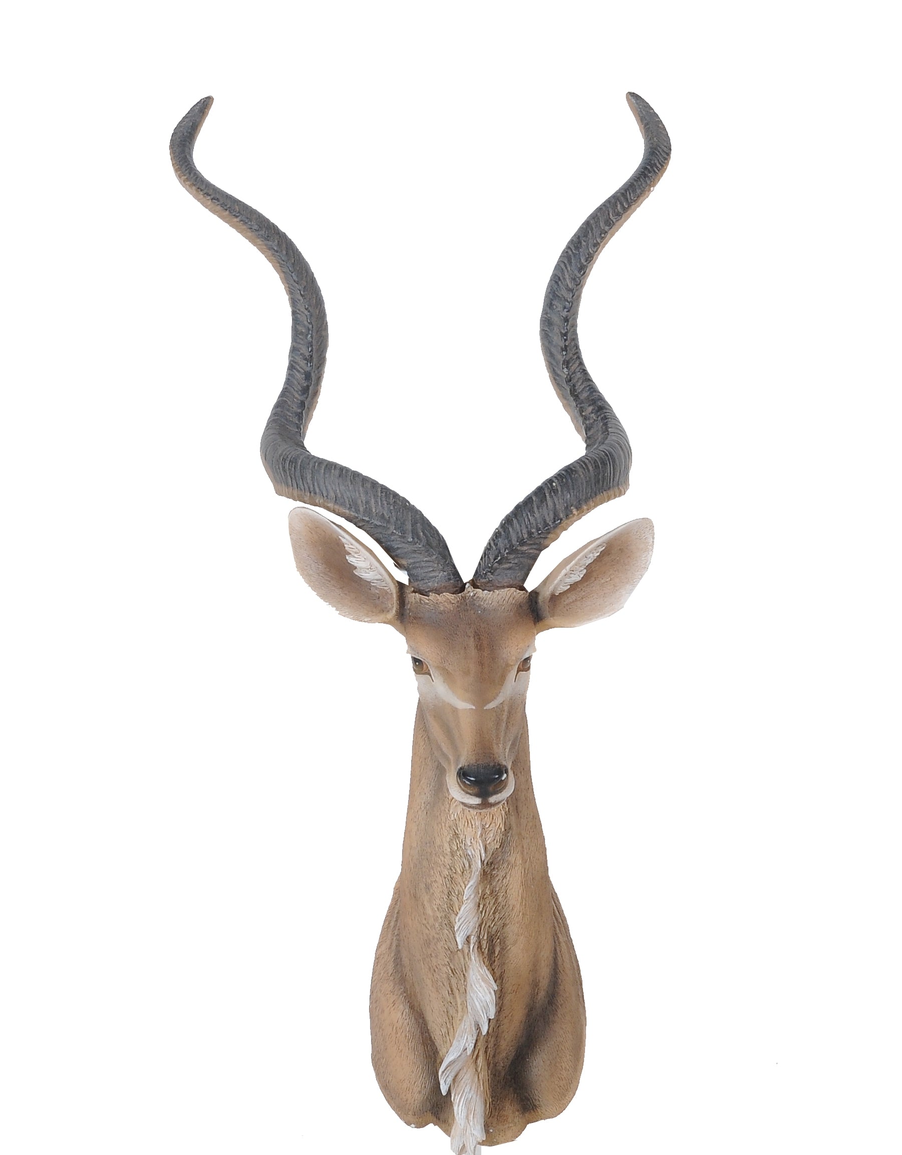 Antelope Head Wall Decorative By Homeroots | Animals & Pets | Modishstore - 5