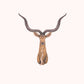 Antelope Head Wall Decorative By Homeroots | Animals & Pets | Modishstore - 6