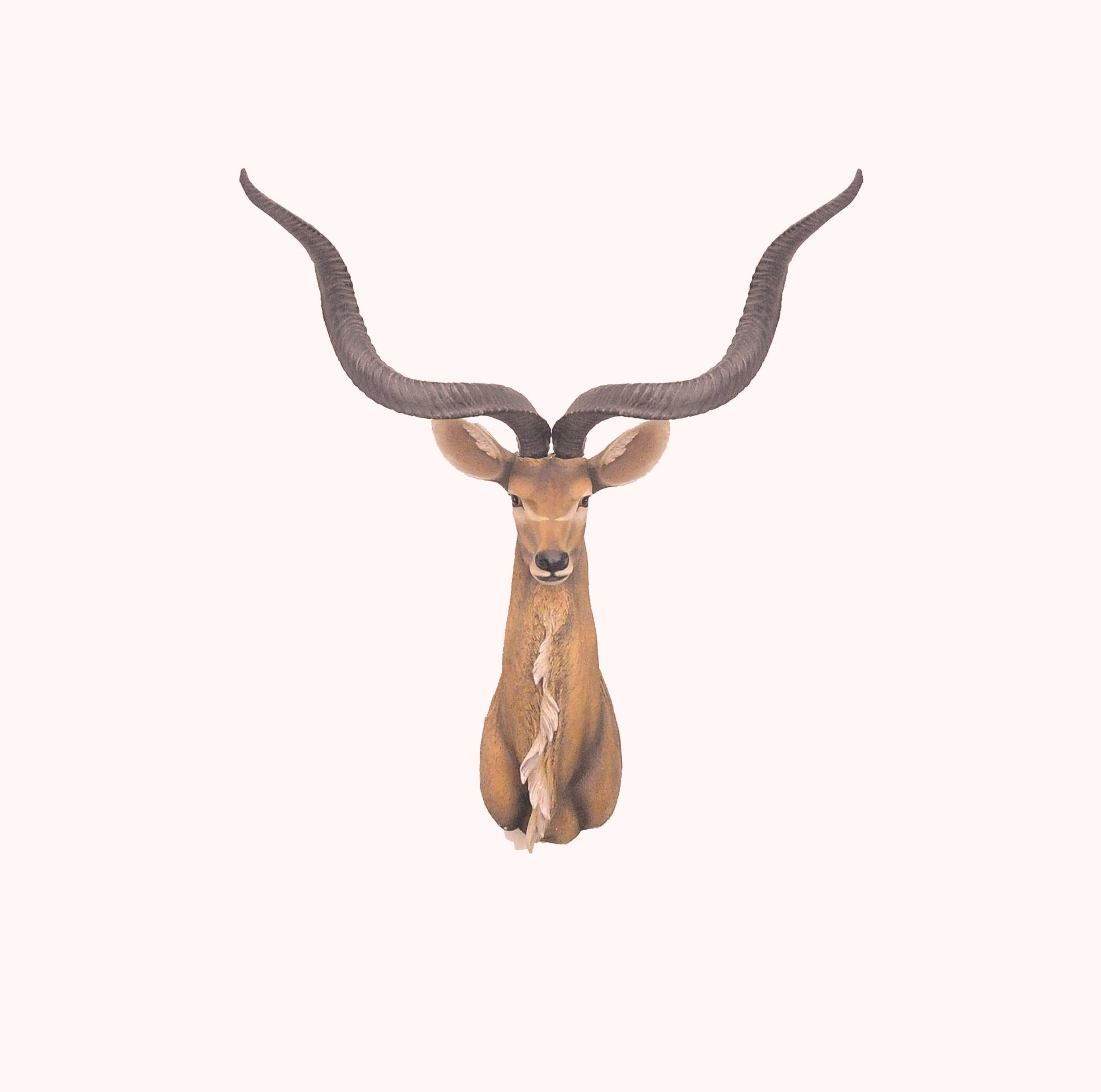 Antelope Head Wall Decorative By Homeroots | Animals & Pets | Modishstore - 6