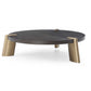 Wenge Veneer Stainless Steel Coffee Table By Homeroots | Coffee Tables | Modishstore