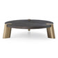 Wenge Veneer Stainless Steel Coffee Table By Homeroots | Coffee Tables | Modishstore - 2