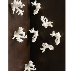 Gold Leaf Design Group Coral Wall Play - Outdoor Cream Set of 20