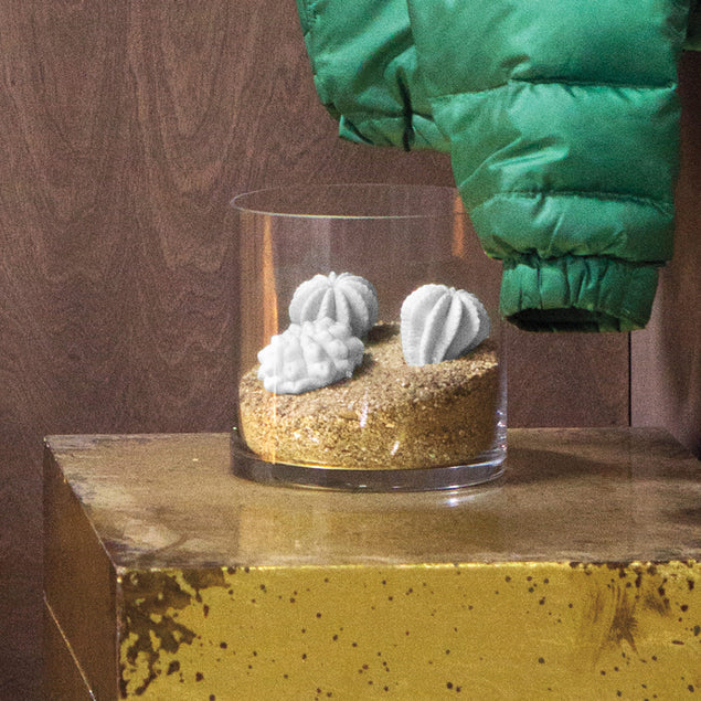 Wall Play Cactus, Cream Set Of 10 By Gold Leaf Design Group | Wall Decor | Modishstore - 2