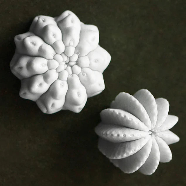 Wall Play Cactus, Cream Set Of 10 By Gold Leaf Design Group | Wall Decor | Modishstore