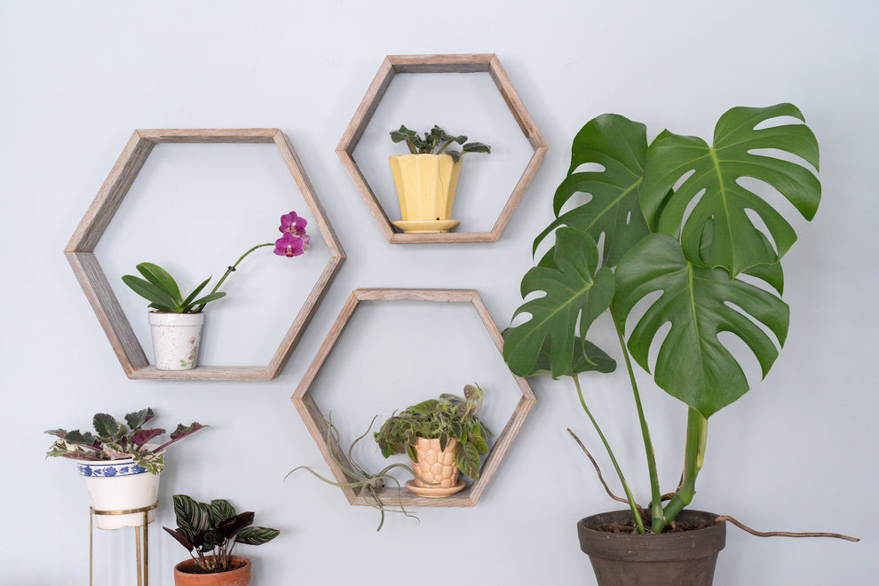 Set of 3 Hexagon Rustic Natural Weathered Grey Wood Open Box Shelve By Homeroots | Wall Decor | Modishstore - 3