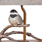 Songbird on a Branch Accent Lamp with Tailored Shade By Homeroots | Table Lamps | Modishstore - 3