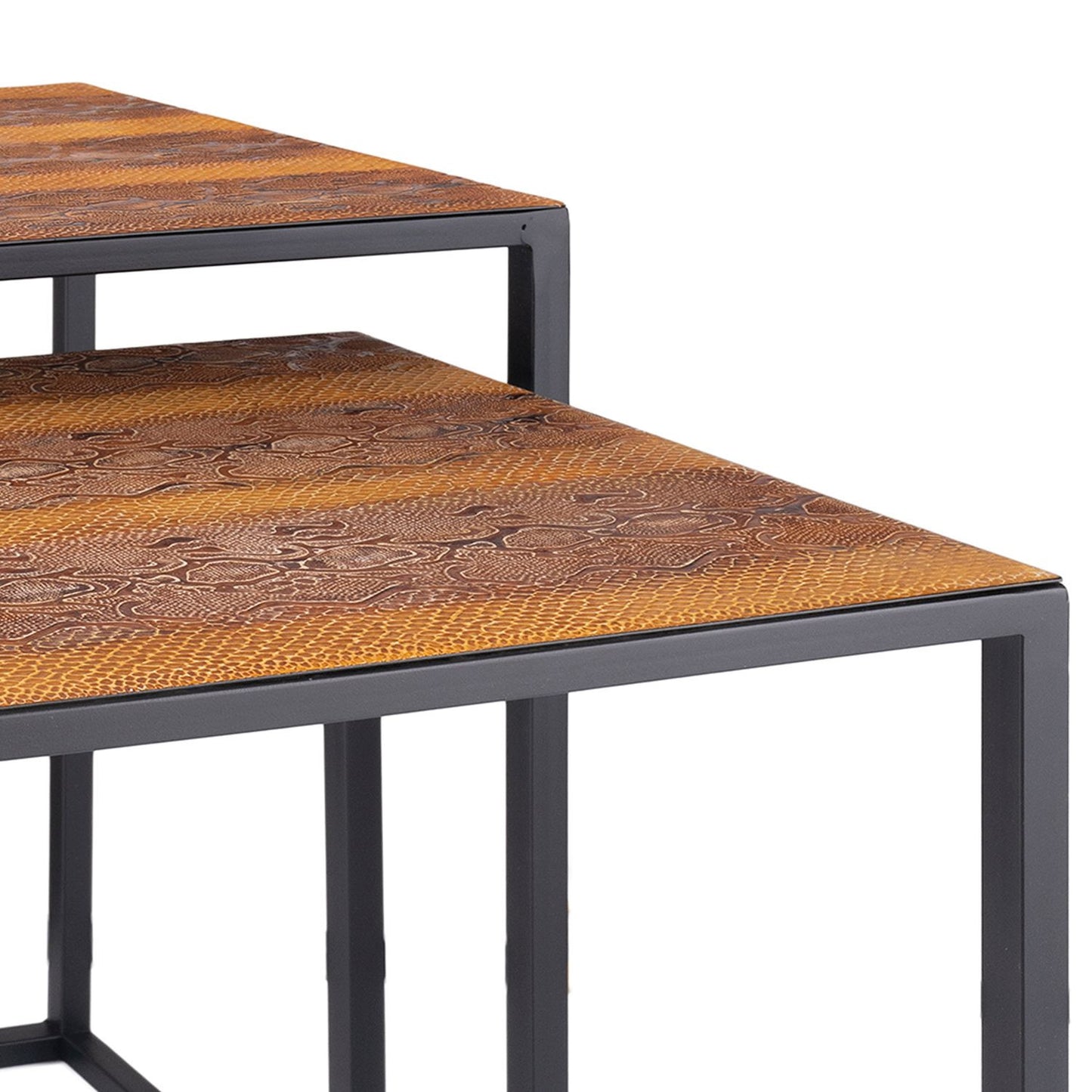 Set Of 2 Rectangular Black Powder Coated Frame and Rattlesnake Faux Leather Top Nesting End Tables By Homeroots | End Tables | Modishstore - 3