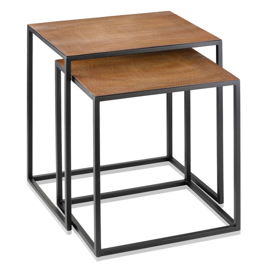 Set Of 2 Rectangular Black Powder Coated Frame and Lion Faux Leather Top Nesting End Tables By Homeroots | End Tables | Modishstore