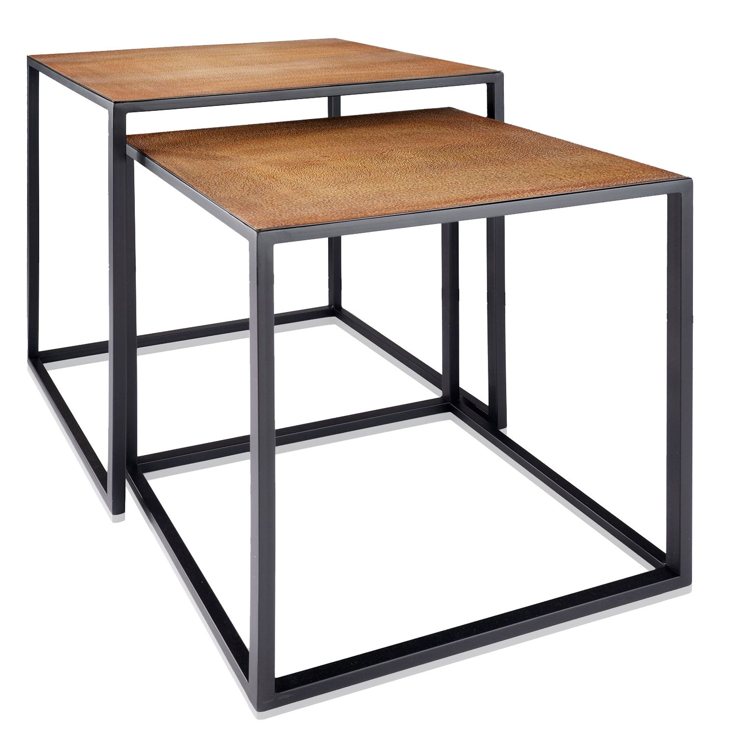 Set Of 2 Rectangular Black Powder Coated Frame and Lion Faux Leather Top Nesting End Tables By Homeroots | End Tables | Modishstore - 2