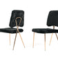 Set Of 2 Glam Modern Black Faux Fur Dining Chairs By Homeroots | Dining Chairs | Modishstore