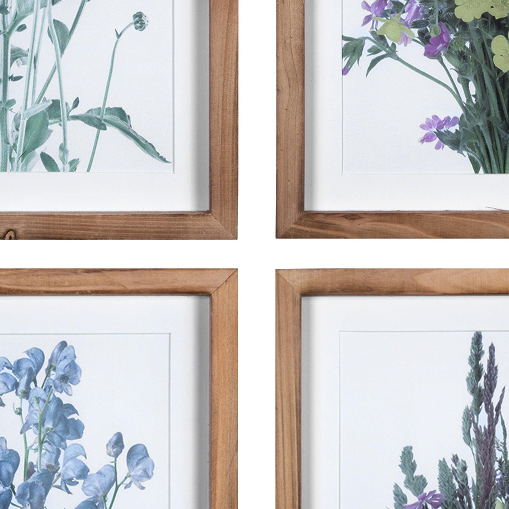 Set of Four Floral Print Wooden Frame Wall Art By Homeroots | Wall Painting | Modishstore - 3
