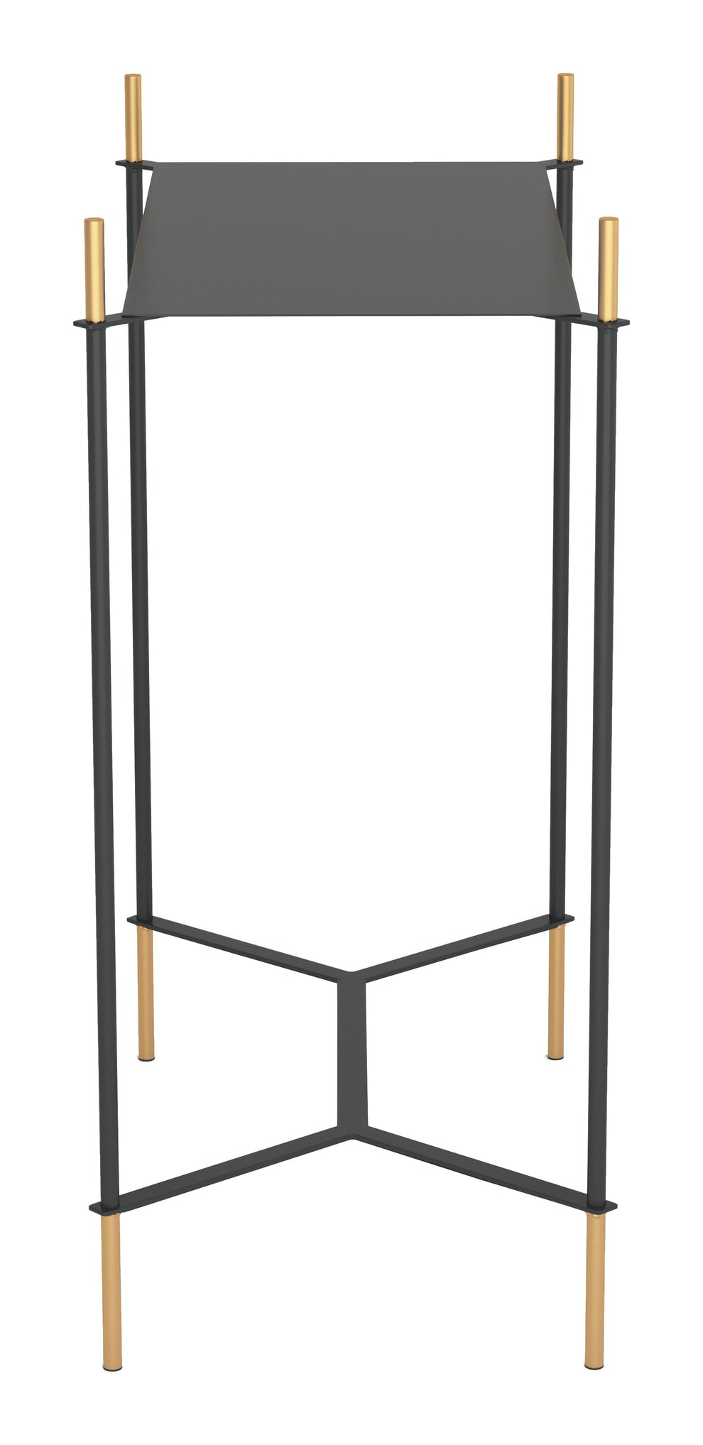 Moderna Black and Gold Accent Side Table By Homeroots | End Tables | Modishstore - 2