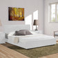 White Platform Queen Bed By Homeroots - 396995 | Beds | Modishstore - 6