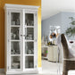 Classic White And Glass Double Door Storage Cabinet By Homeroots | Cabinets | Modishstore