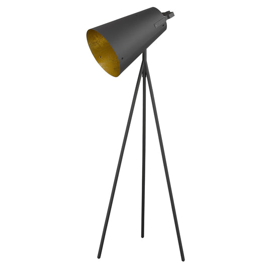 Faza 1-Light Matte Black Floor Lamp By Homeroots | Floor Lamps | Modishstore