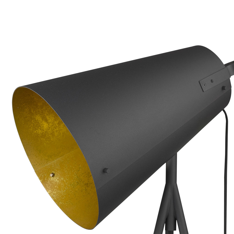 Faza 1-Light Matte Black Floor Lamp By Homeroots | Floor Lamps | Modishstore - 3