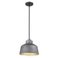 Barnes 1-Light Gray Convertible Pendant By Homeroots | Pendant Lamps | Modishstore - 4
