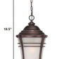 Frosted Glass Bronze Lantern Hanging Light By Homeroots | Lanterns | Modishstore - 2