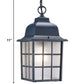 Matte Black Window Pane Lantern Hanging Light By Homeroots | Lanterns | Modishstore - 2