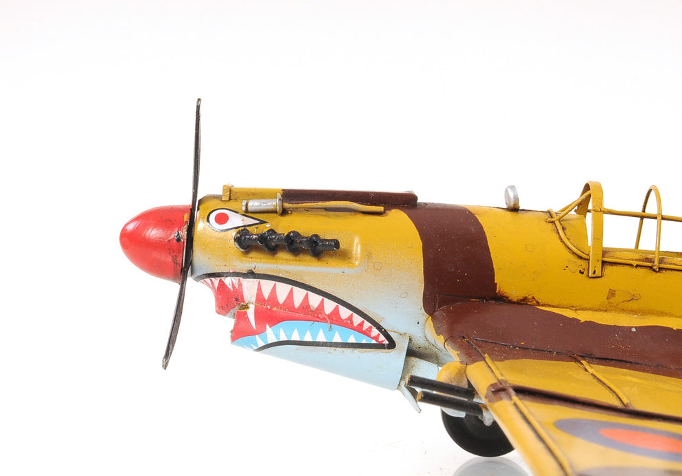 c1941 Curtiss Hawk 81A Sculpture By Homeroots | Sculptures | Modishstore - 4
