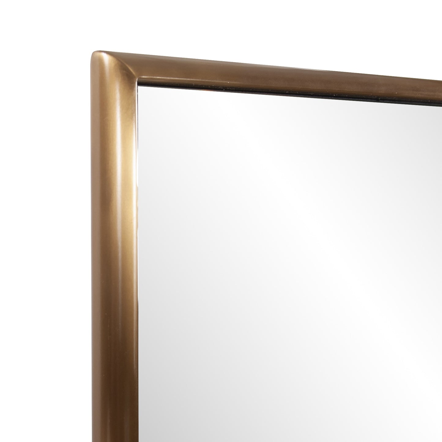 Antiqued Brushed Brass Rectangular Full Length Wall Mirror By Homeroots | Mirrors | Modishstore - 4