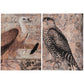 Set of 2 Antique Post Card Birds Wall Art By Homeroots | Wall Decor | Modishstore