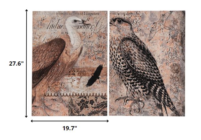 Set of 2 Antique Post Card Birds Wall Art By Homeroots | Wall Decor | Modishstore - 2