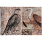 Set of 2 Antique Post Card Birds Wall Art By Homeroots | Wall Decor | Modishstore - 3