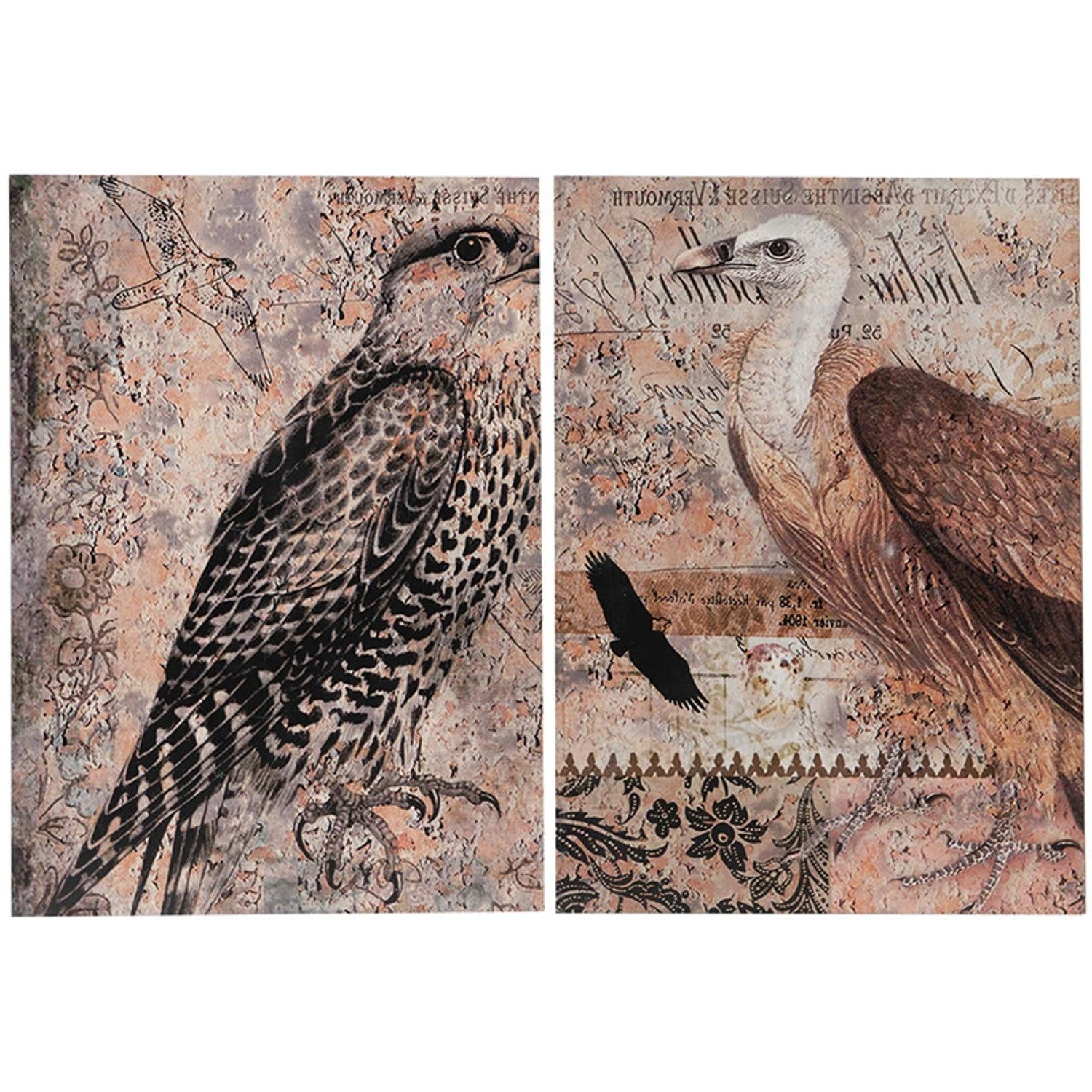 Set of 2 Antique Post Card Birds Wall Art By Homeroots | Wall Decor | Modishstore - 3
