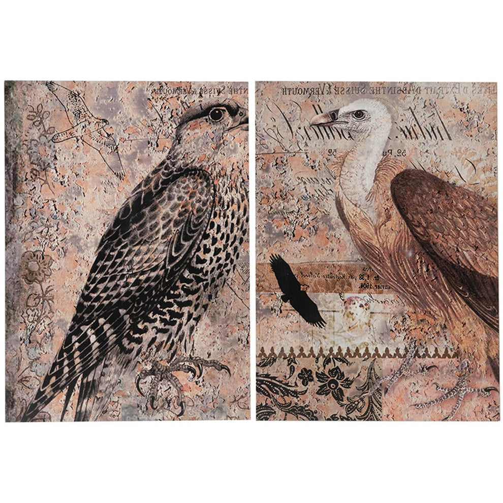 Set of 2 Antique Post Card Birds Wall Art By Homeroots | Wall Decor | Modishstore - 3