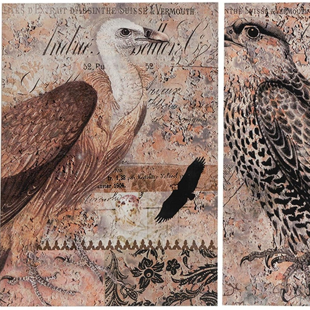 Set of 2 Antique Post Card Birds Wall Art By Homeroots | Wall Decor | Modishstore - 4