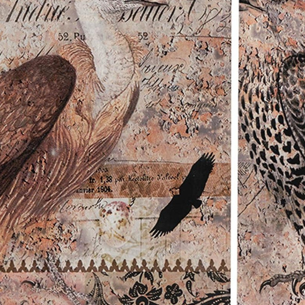 Set of 2 Antique Post Card Birds Wall Art By Homeroots | Wall Decor | Modishstore - 5