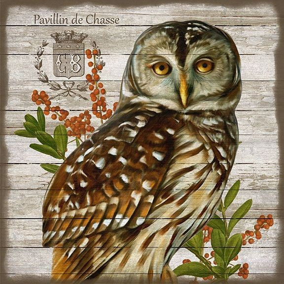 Vintage French Brown Owl Wall Art By Homeroots | Wall Decor | Modishstore