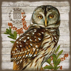Vintage French Brown Owl Wall Art By Homeroots