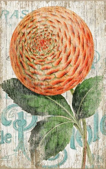 Orange Zinnia Flower Wall Art By Homeroots | Wall Decor | Modishstore