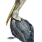 Blue Watercolor Pelican XL Wall Art By Homeroots | Wall Painting | Modishstore - 4