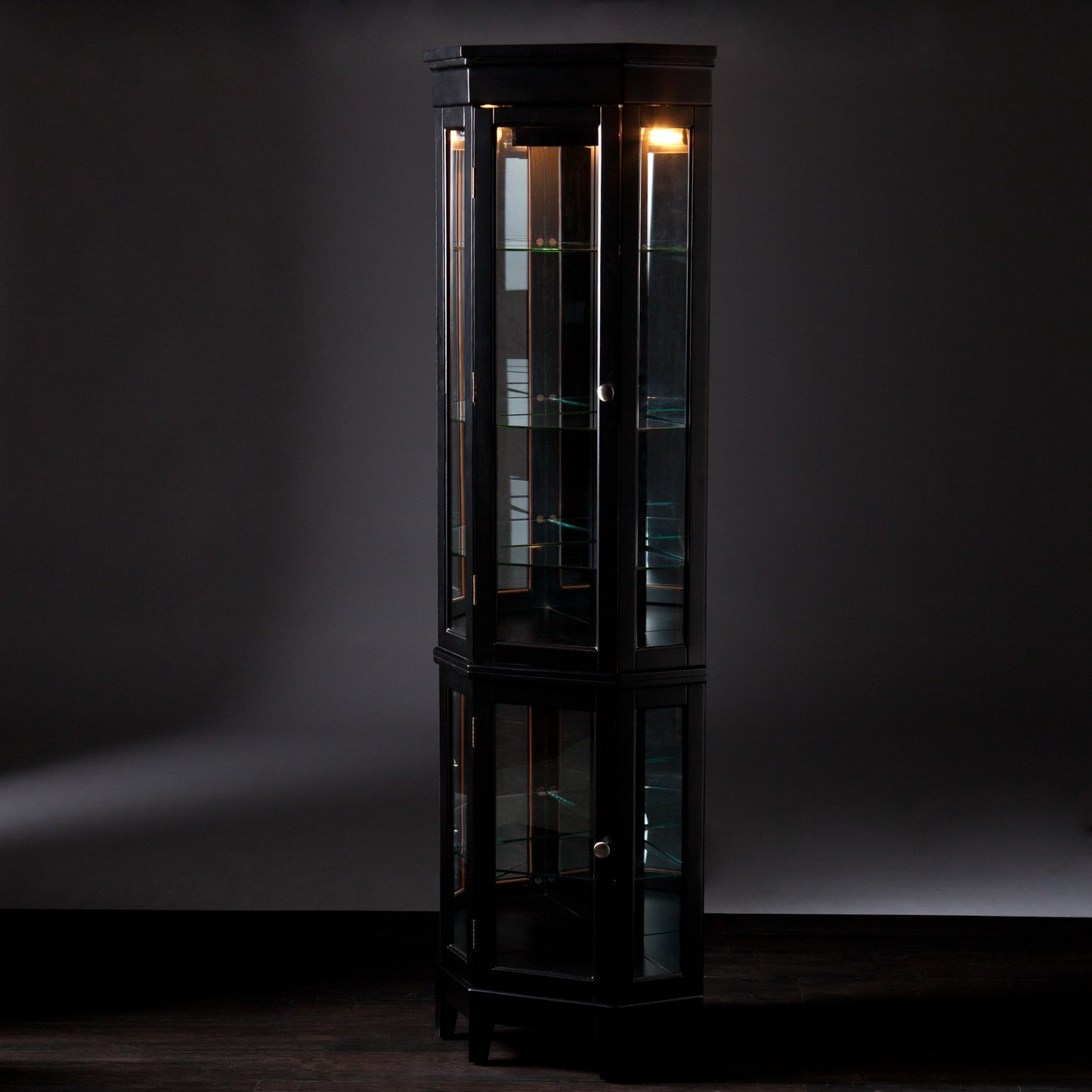 Elegant Black Lighted Curio Cabinet By Homeroots | Cabinets | Modishstore - 5