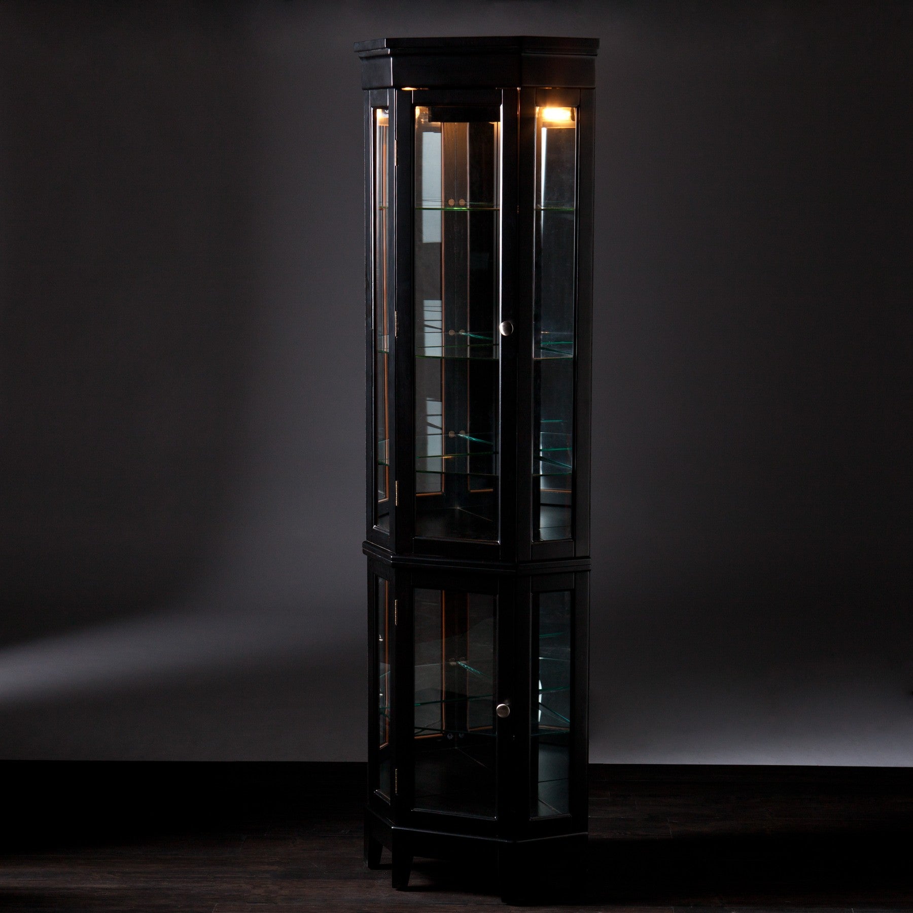 Elegant Black Lighted Curio Cabinet By Homeroots | Cabinets | Modishstore - 5