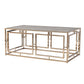 44" Champagne Glass And Metal Rectangular Coffee Table By Homeroots | Coffee Tables | Modishstore
