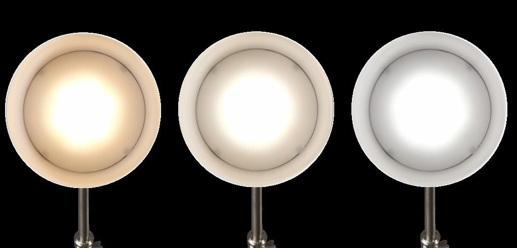 Brushed Silver LED Adjustable Desk Lamp By Homeroots | Desk Lamps | Modishstore - 4