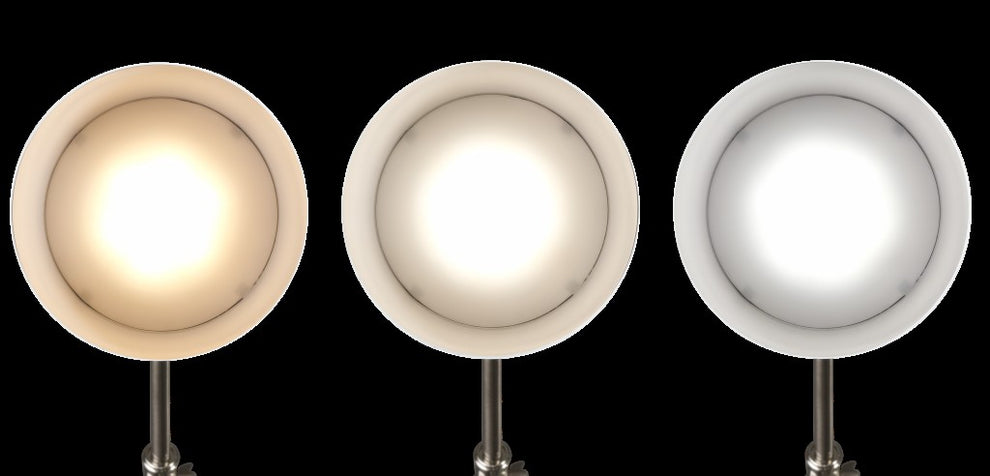 Brushed Silver LED Adjustable Desk Lamp By Homeroots | Desk Lamps | Modishstore - 5