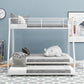 White Twin Over Full Size Bunk Bed With Trundle By Homeroots | Beds | Modishstore - 4
