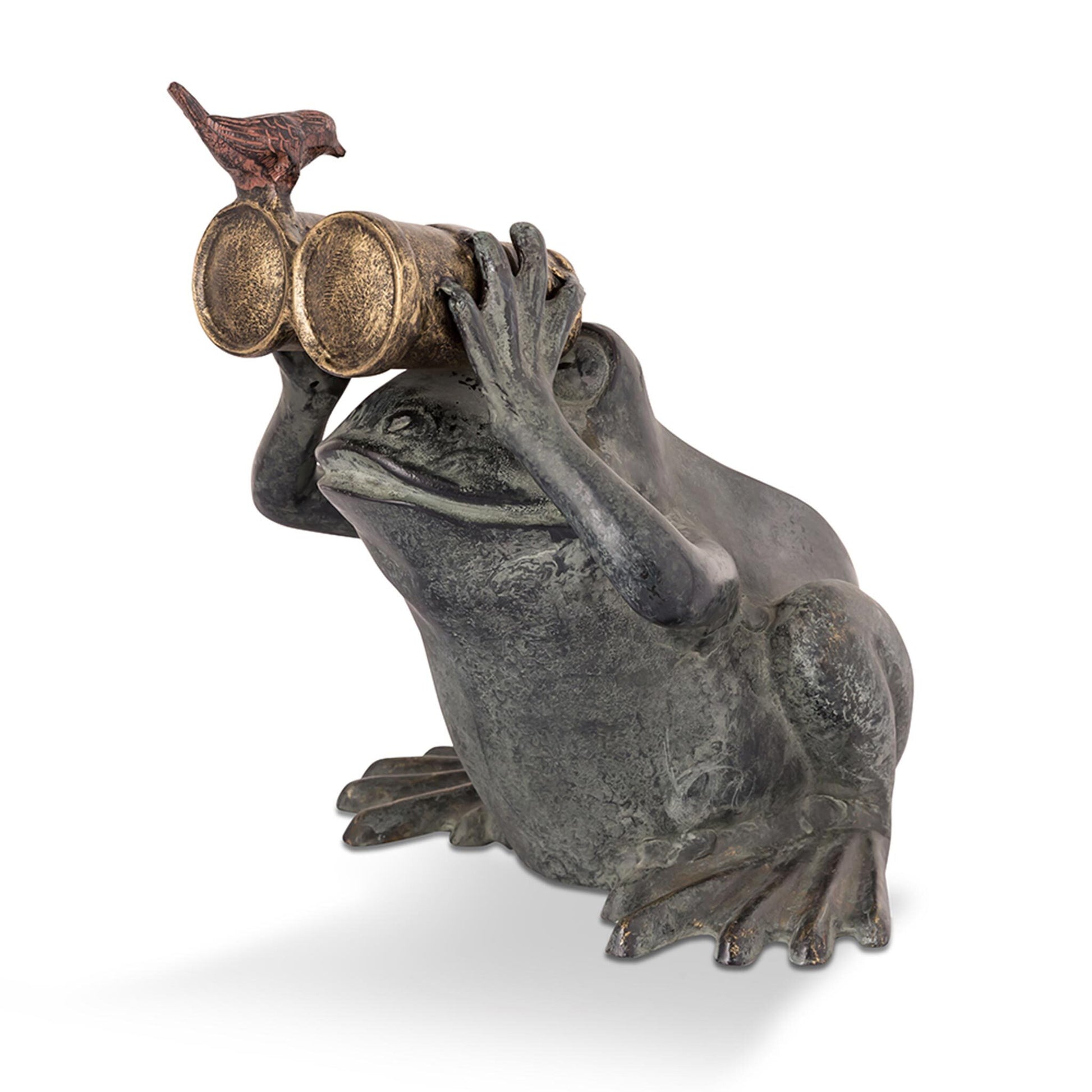 Frog Spectator with Bird Garde By SPI HOME | Garden Sculptures & Statues | Modishstore