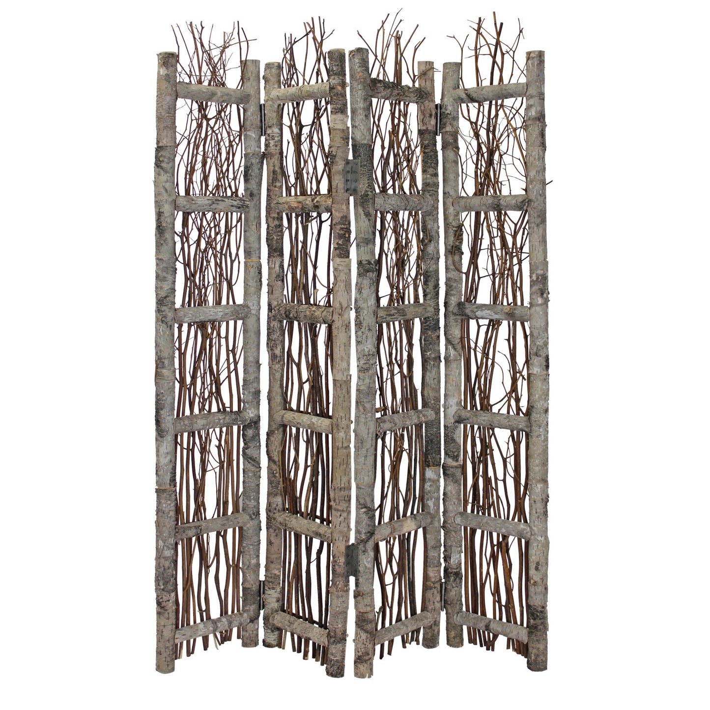 Earthy Birch And Twig Four Panel Room Divider Screen By Homeroots | Room Dividers | Modishstore