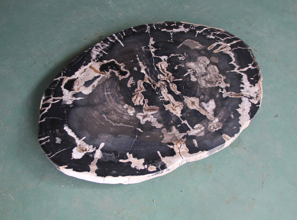 Petrified Wood Slab Coffee Table - 36" x 26" x 2"H - PFT0416/25-6