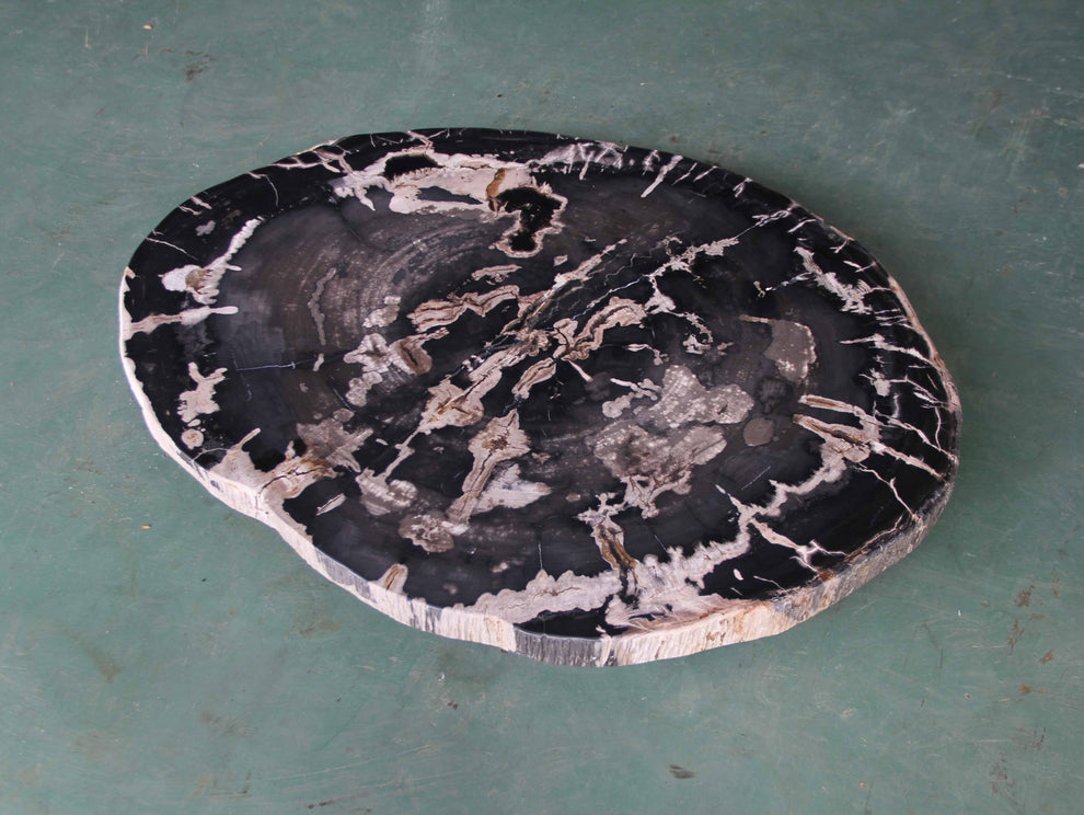Petrified Wood Slab Coffee Table - 36" x 26" x 2"H - PFT0416/27-8